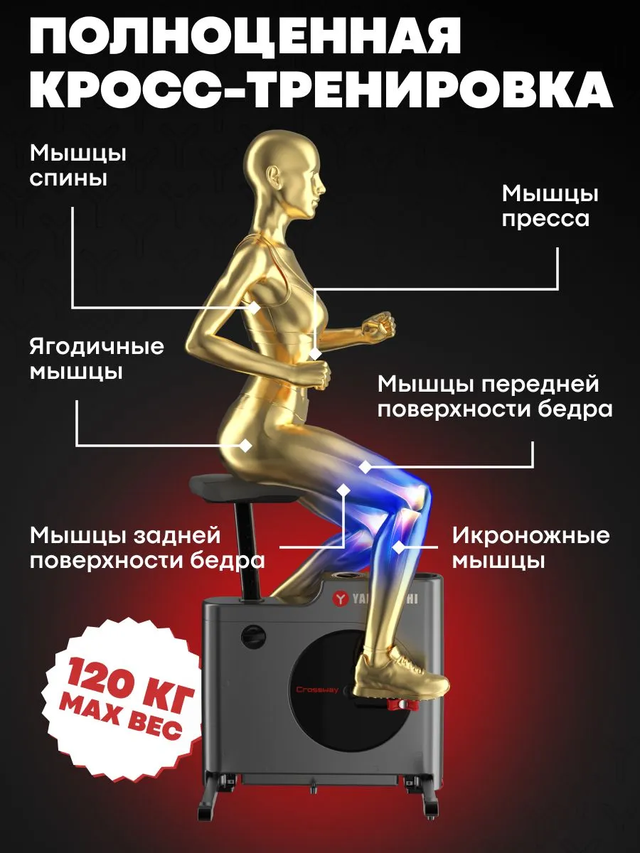 Тренировка на велотренажере YAMAGUCHI Crossway